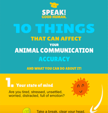 10 things that can affect animal communication accuracy