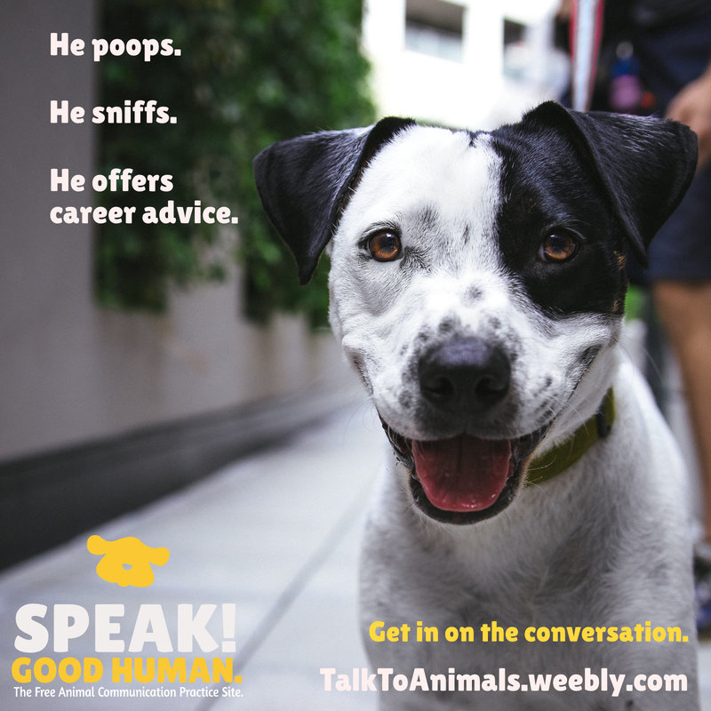 Get in on the conversation at Speak! Good Human.