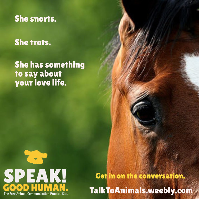 Get in on the conversation at Speak! Good Human.