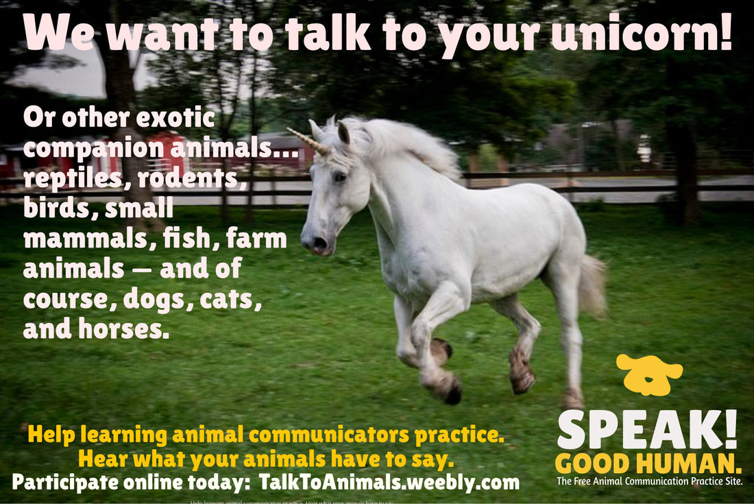 Do you have an animal who can help learning animal communicators at Speak! Good Human?