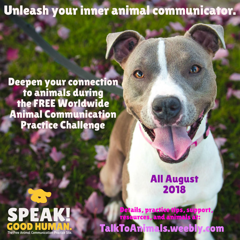 Unleash your inner animal communicator. It's in there!